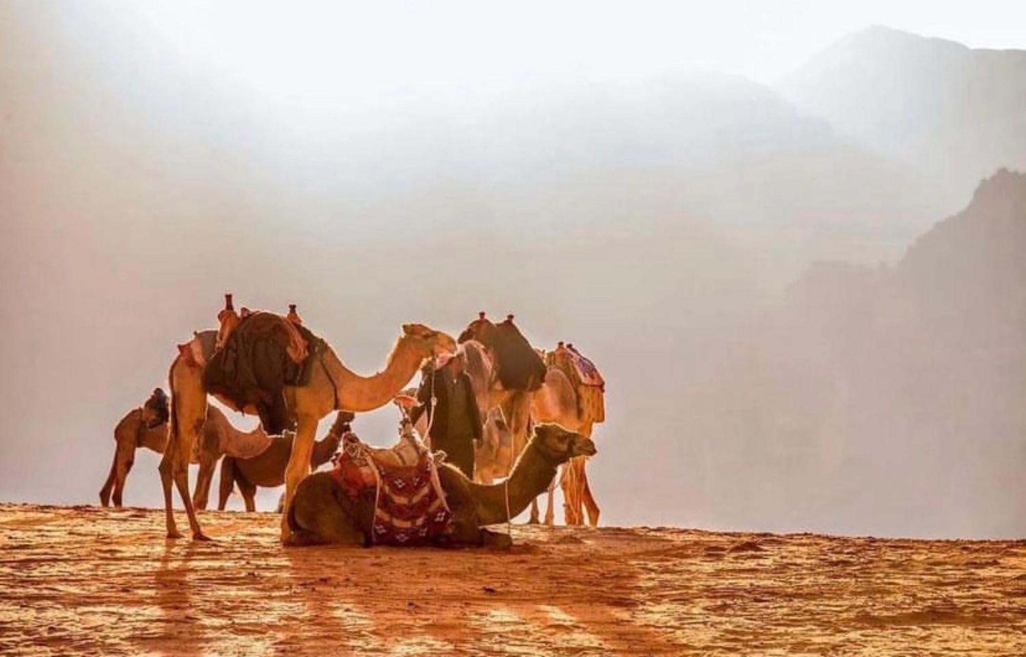 Julia Rum Luxury Camp Wadi Rum Exterior foto